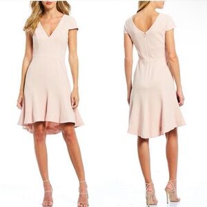 Dress The Population Bettie Plunge Fit and Flare Dress Powder Blush Ruffle Hem
